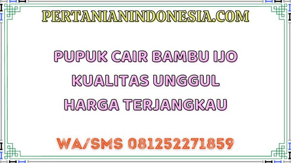 Pupuk Cair Bambu Ijo Kualitas Unggul Harga Terjangkau